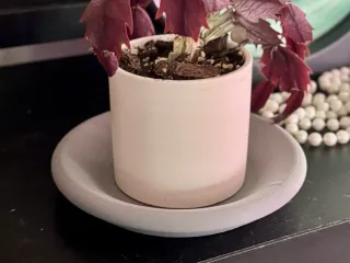 Plant Pot Drip Tray
