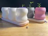 Mini Planter & Tray with plug-4
