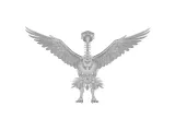 Eagle Skeleton Anatomy – Highly Detailed Bird Skeletal Model-0