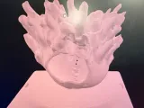 Coral Rack-side cave-0