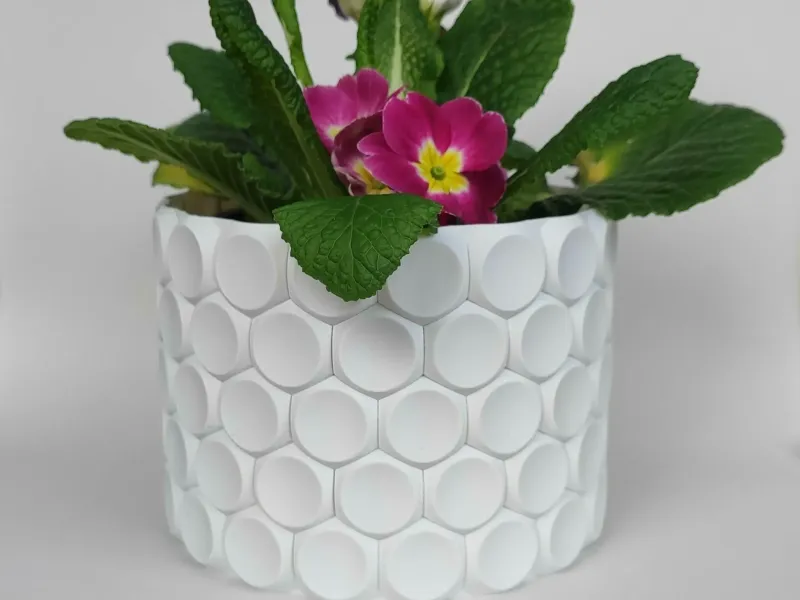 花盆