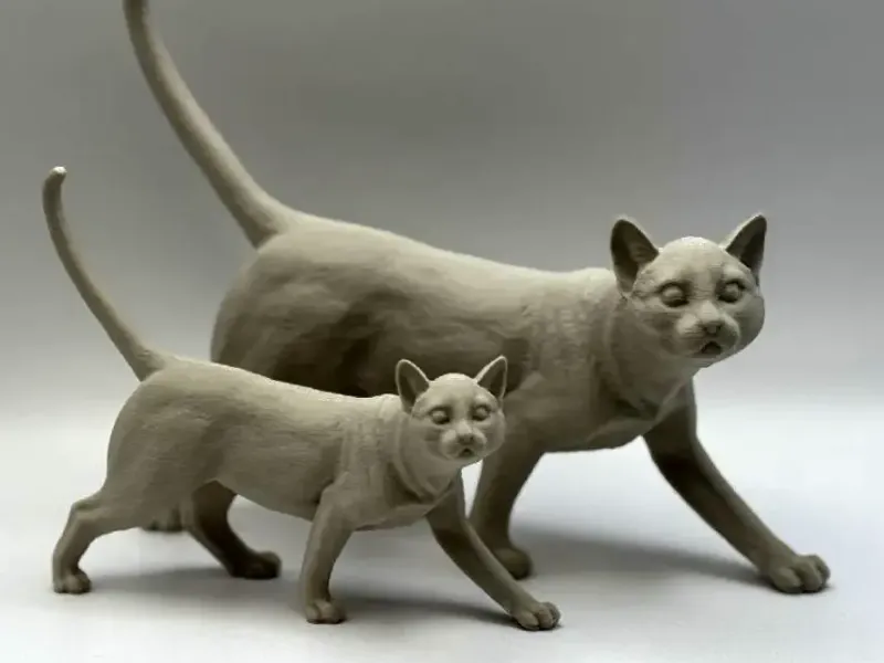Gatto realistico / Gattino
