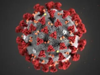 Corona virus