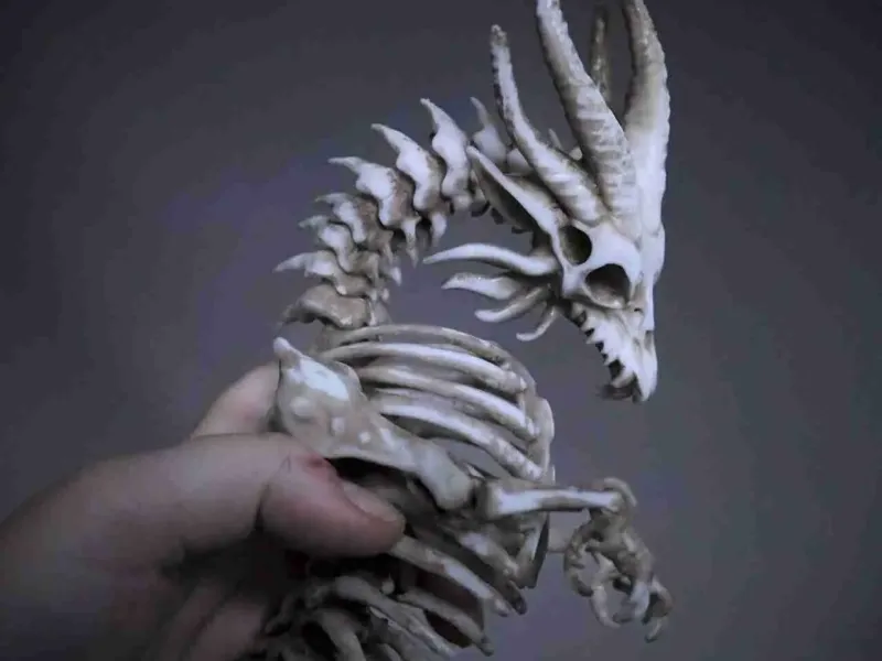 SLA DRAGÃO