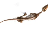 Hypacrosaurus_Skeleton – Realistic Detailed Hadrosaur Dinosa-4