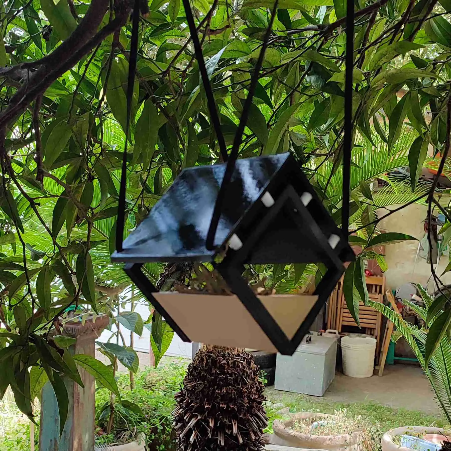 Bird House