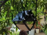 Bird House-3