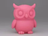 Cute Owl-0
