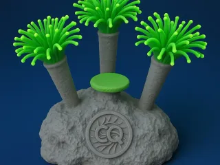 Base para corales torch