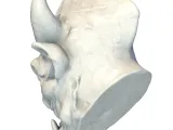 Gothic Demon Gargoyle Head – Detailed Sculpt Model-2