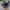Majoras Maske von Gannon besessener Oni