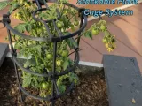 Stackable Plant Cage System + Clip-On Hooks-0