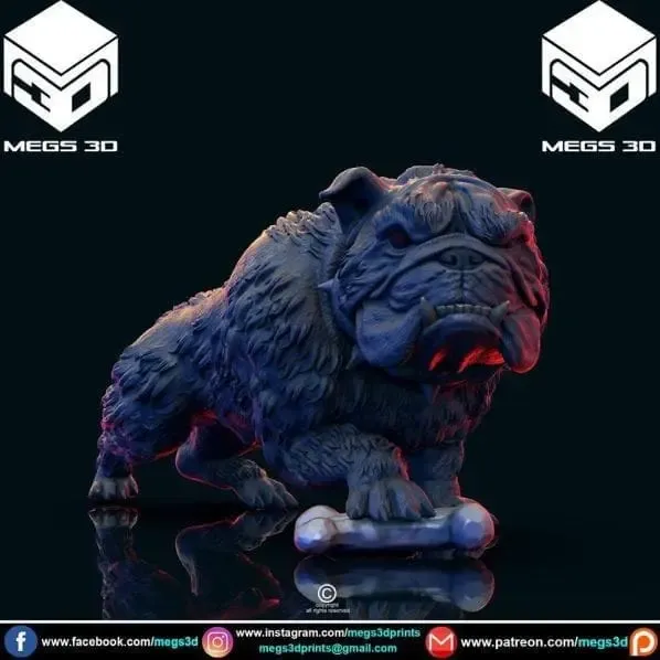 animal de estimação