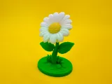 Daisy-2