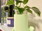 Frog Planter-6