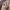 Pastell-Vortex-Twist-Band – Noah0x03