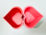 Heart Container Duo with Drainage and Storage Versions-1