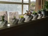 Futuristic flower pot-2