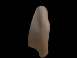 Human Ear -3