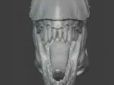 ALIEN HEAD-0