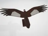 Condor Chileno, geometria-1