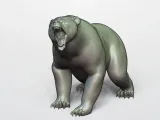 GRIZZLY-5