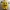 EmojiFolk - Happy