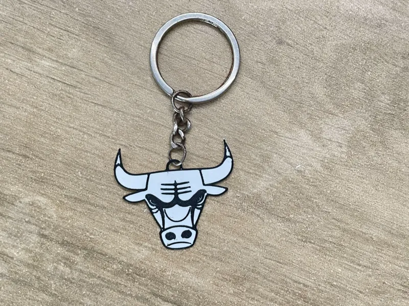 Chicago Bull