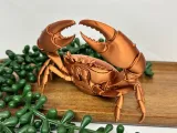 crab-2
