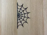 spider web-1