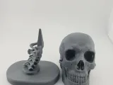 Skull Anatomy-2