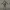 DOOM Eternal Sentinel Knigh Costume Armor Cosplay