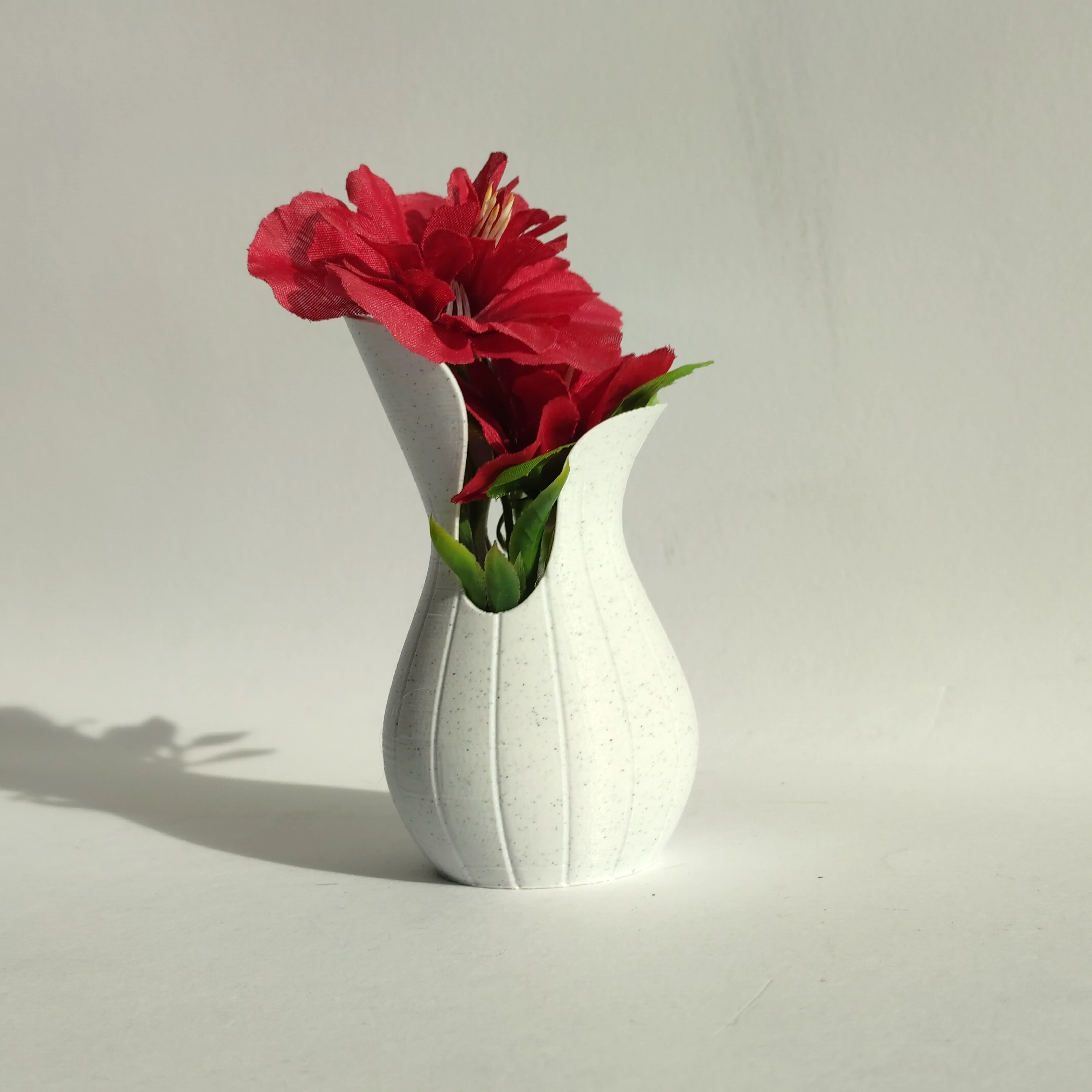 Elegant Vase
