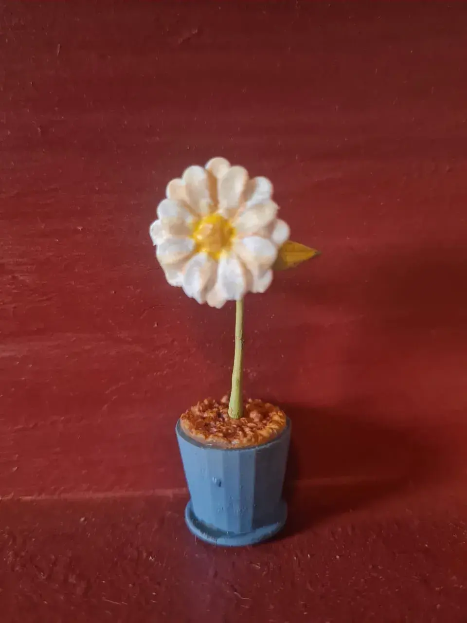 Daisy