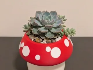 Mushroom Pot