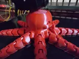 Octopus With Ring-2