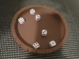 Dice tray-1