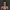 busto Nico Robin