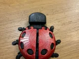 articulated ladybug-4
