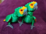 Amazon Parrot Articulated Figure-8