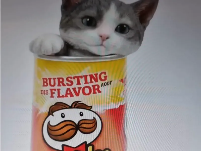 Pringles Kitten
