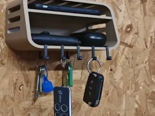 Wall organiser with hooks