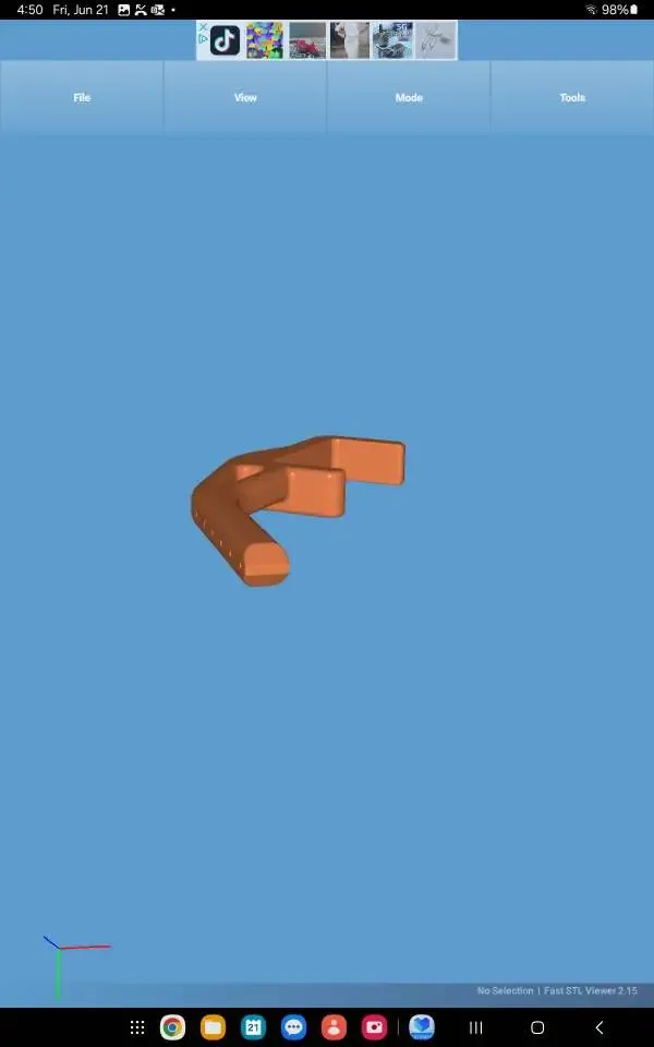 right tibia