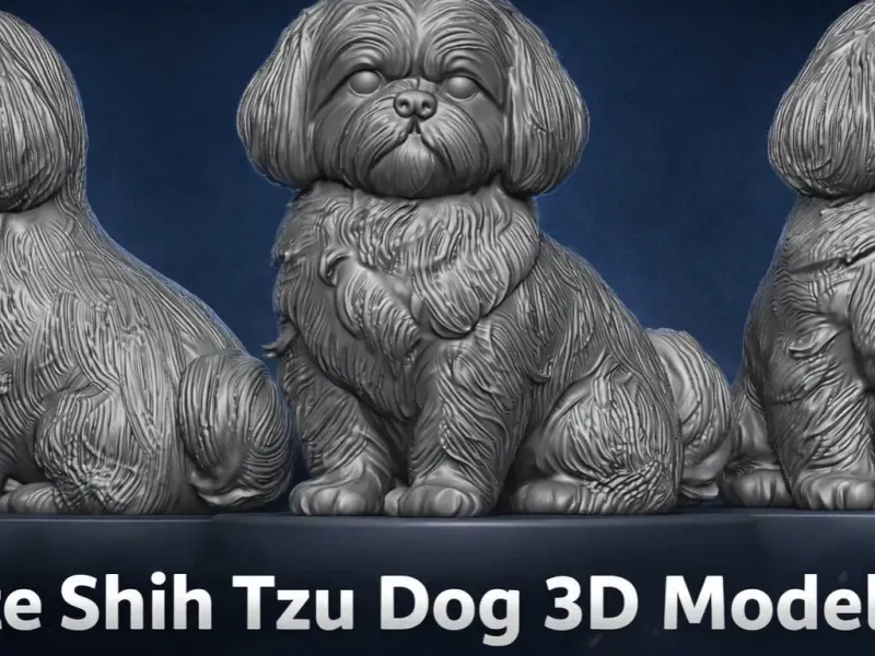 Perro Shih Tzu