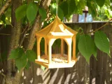 Functional & Stylish Bird Feeder-0