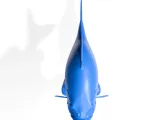 Pez divertido-5