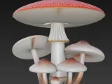 fliegenpilz-0