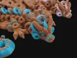 Donut Dragon-1