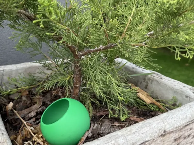 Self Watering Globes for Plants