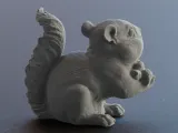 Cute Squirrel eating a Nut-4